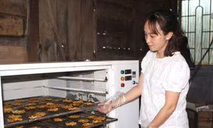 Sản phẩm dứa sấy muối ớt của chị Phạm Thị Nga