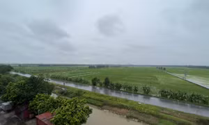 Khu đất nghĩa trang cát táng có tên Bảo Lạc Viên (tại xã Long Châu, huyện Yên Phong, tỉnh Bắc Ninh) hiện chỉ là đất ruộng của người dân
