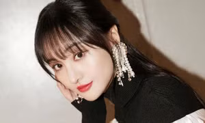 Trịnh Sảng bị điều tra trốn thuế, nhiều sao Hoa ngữ cũng vội vã “xóa dấu vết”?