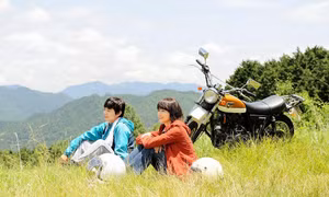Ký ức mùa Hè của tôi: Mùa hoa phượng nở đỏ nhất, tôi tìm thấy bình yên dưới mái ấm của ngoại