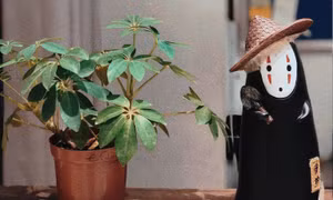 Bạn đọc sáng tác: Vườn rau của bố là "vitamin tinh thần" cho cả nhà mình mùa Cô Vy