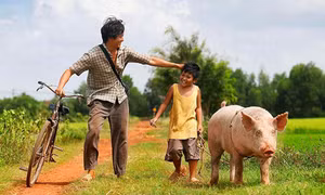 Bài dự thi “Ký ức mùa Hè của tôi”: Tuổi thơ nào chăn vịt nhặt trứng trên đồng