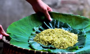 Trung Thu về, nhớ hương cốm Làng Vòng quê tôi thơm dẻo cả tuổi thơ êm đềm