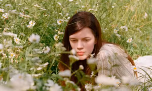 Thông điệp ngày mới: Chắc chắn mọi khởi đầu đều tốt đẹp, dù chẳng dễ dàng