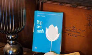 Búp Sen Xanh: Tác phẩm tiêu biểu về thời niên thiếu của Bác ra mắt ấn bản đặc biệt
