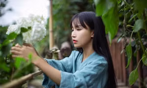 Nguy cơ mất trắng thương hiệu, "tiên nữ đồng quê" Lý Tử Thất nói gì giữa tâm bão kiện tụng
