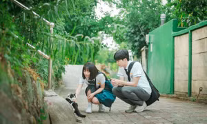 Horoscope 25/9 - 1/10: Kim Ngưu đừng quyết định vội vàng, Cự Giải lưu ý tài chính