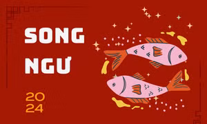 Năm 2024 của Song Ngư: Sự nghiệp cần tỉnh táo, nên học hỏi người có nhiều trải nghiệm