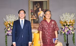 Bộ trưởng Ngoại giao Bùi Thanh Sơn có cuộc tiếp kiến Công chúa Thái Lan Maha Chakri Sirindhorn. (Ảnh: Mofa)