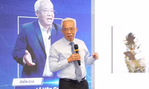 Thầy cô thay đổi thế nào khi ứng dụng AI vào dạy học ngoại ngữ?