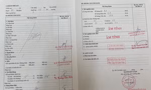 Làm giả giấy khám sức khỏe, các kết quả xét nghiệm... để thi giấy phép lái xe