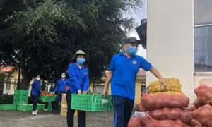 Nghĩa tình xứ Dừa tiếp sức TPHCM chống dịch