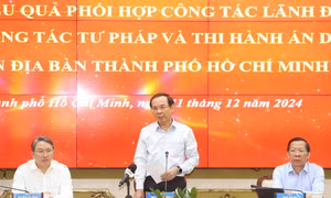 Khối lượng công việc 'khổng lồ' trong giai đoạn thi hành án vụ Vạn Thịnh Phát