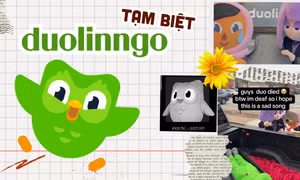 Duolingo chào tạm biệt: Cú xanh thực sự "đăng xuất" hay chiêu mới "dí" học bài?