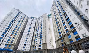 Vàng, chung cư là kênh đầu tư siêu lợi nhuận năm nay?