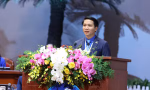 Góp tài năng, sức trẻ hiện thực hóa mục tiêu phát triển đất nước 