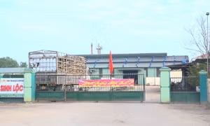 Xử phạt một doanh nghiệp xả thải chứa chất Xyanua vượt quy định hơn 21 lần