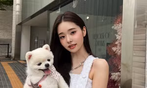 Vlog đầu tiên sau bê bối của Song Ji A: Chuyển nhà, thăm gia đình trong thời gian ở ẩn