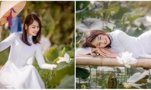 Khó rời mắt trước "đóa sen" trắng ngần