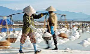Giá muối giảm mạnh, diêm dân thêm chán nghề