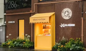 Khám phá thư viện của các thương hiệu xa xỉ Louis Vuitton, Saint Laurent, Gucci