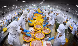 Luật Thuế giá trị gia tăng vừa thi hành đã phát sinh 'điểm nghẽn'