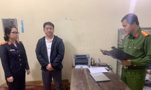 Bắt ông chủ người nước ngoài mua bán trái phép hóa đơn 