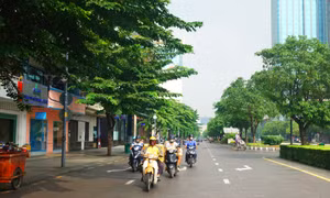 TPHCM cấm xe vào đường Nguyễn Huệ liên tục trong 3 ngày 