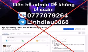 Thuê học sinh mở tài khoản ngân hàng để lừa đảo 