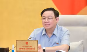 Sửa luật có khắc phục được tình trạng bỏ cọc như vụ đấu giá đất Thủ Thiêm? 
