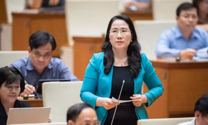 Đại biểu Quốc hội: Không nên bỏ 'quê quán', ảnh chụp phải đúng, đẹp trên căn cước 