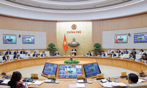 Ban hành Nghị quyết sáp nhập cấp tỉnh, xã theo đúng yêu cầu của Trung ương, Bộ Chính trị