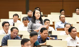 Đại biểu Quốc hội băn khoăn đề xuất thu hẹp quyền chất vấn của Hội đồng nhân dân