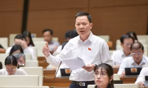 Thao túng, làm giá bất động sản nguy hiểm không kém thao túng chứng khoán 