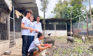 'Hạt giống đỏ' thi khởi nghiệp, khởi sự kinh doanh tỉnh Đắk Lắk năm 2024