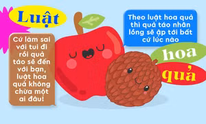 "Luật hoa quả", "quả táo nhãn lồng" là gì mà khiến Gen Z bắt trend từ Facebook đến TikTok?