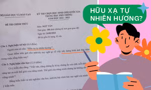 Đề thi Học sinh giỏi Quốc gia môn Ngữ Văn gần gũi nhưng không mới lạ, đòi hỏi tư duy đột phá
