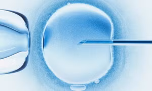 Em bé đầu tiên trên thế giới thụ thai bằng phương pháp 'IVF tự động' chào đời