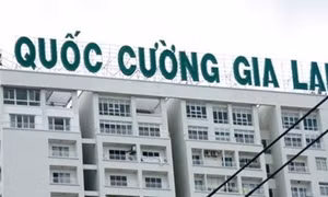 Lộ diện người cho công ty của Cường 'đô la' vay nghìn tỷ