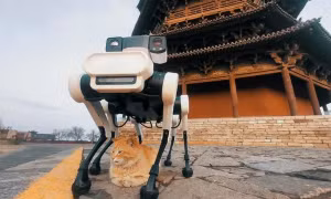 Chó Robot Daystar Bot GS giúp bảo tồn chùa cổ. Ảnh: Lenovo.