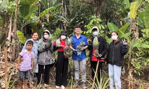 Ươm mầm sinh kế cho đồng bào nghèo