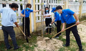 Tuổi trẻ TT-Huế tích cực hưởng ứng chiến dịch thanh niên tình nguyện hè 