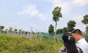 Lý do giá đất nền vùng ven tăng 'dựng đứng' nhưng nhà đầu tư vẫn thận trọng