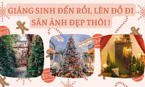 Mùa Giáng sinh đến rồi, xúng xính quần áo đẹp, rủ cạ cứng xuống phố làm bộ ảnh xinh xắn nào!