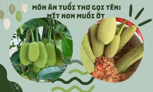Trở về tuổi thơ với món "đặc sản" khiến các TikToker phải săn tìm: Mít non chấm muối ớt