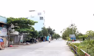 Gần 400 tên đường ở TPHCM cần được đổi, cập nhật