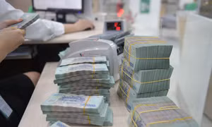 Doanh nghiệp gửi 'núi tiền' ở ngân hàng bất chấp lãi suất thấp