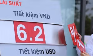 Tiền gửi tăng kỷ lục, lãi suất ngân hàng nào cao nhất? 