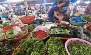 Đà Nẵng: Rau xanh tăng giá vùn vụt, cả người dân và hàng quán đều 'khóc ròng'