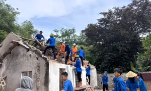 Tuổi trẻ Nghệ An giúp lực lượng thi công đường điện 500kV